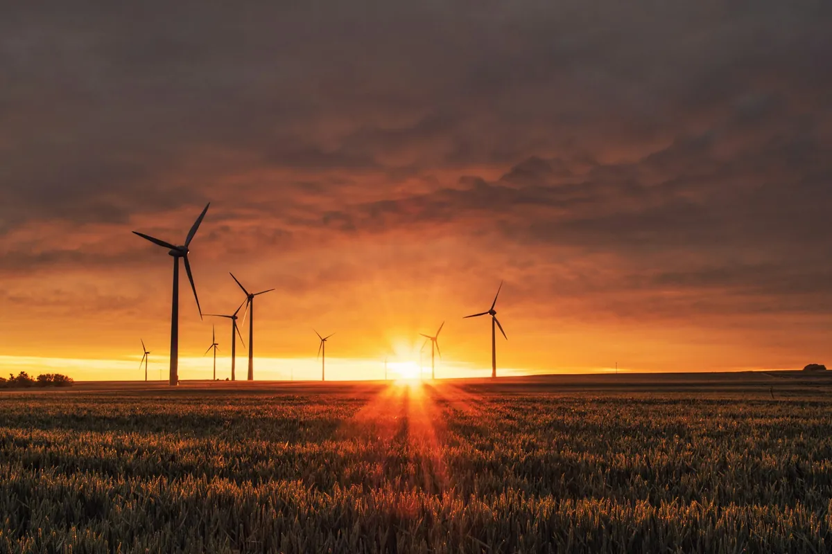 Wind turbines on farmland at sunset